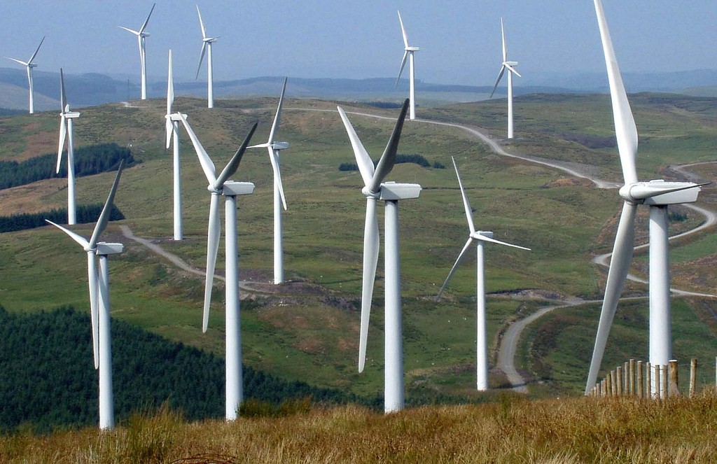 World Class Cymru, World Class Carnage - image copyright David J Glaves