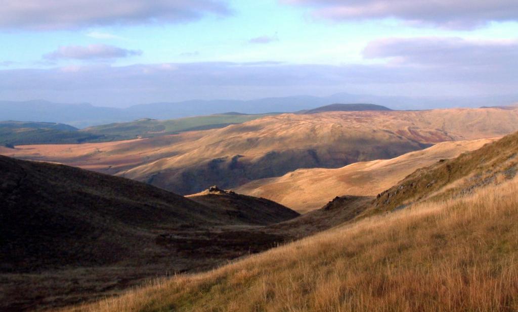 Plynlimon near Nant y Moch, the Cambrian Mountains, Wales - copyright Jules Montgomery