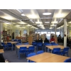 The Library