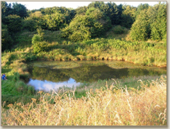 one of the medieval fishponds where we have coarse fishing