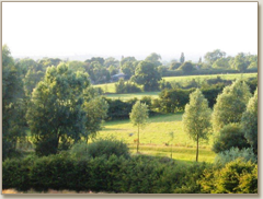 view towards the Shearsby Bath & Shearsby