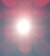 photograph taken by Sue Fraser copyright  21.03.2011