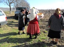 Blessing the grapevine in the village of Venets 2011