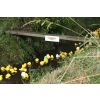Duck Race
