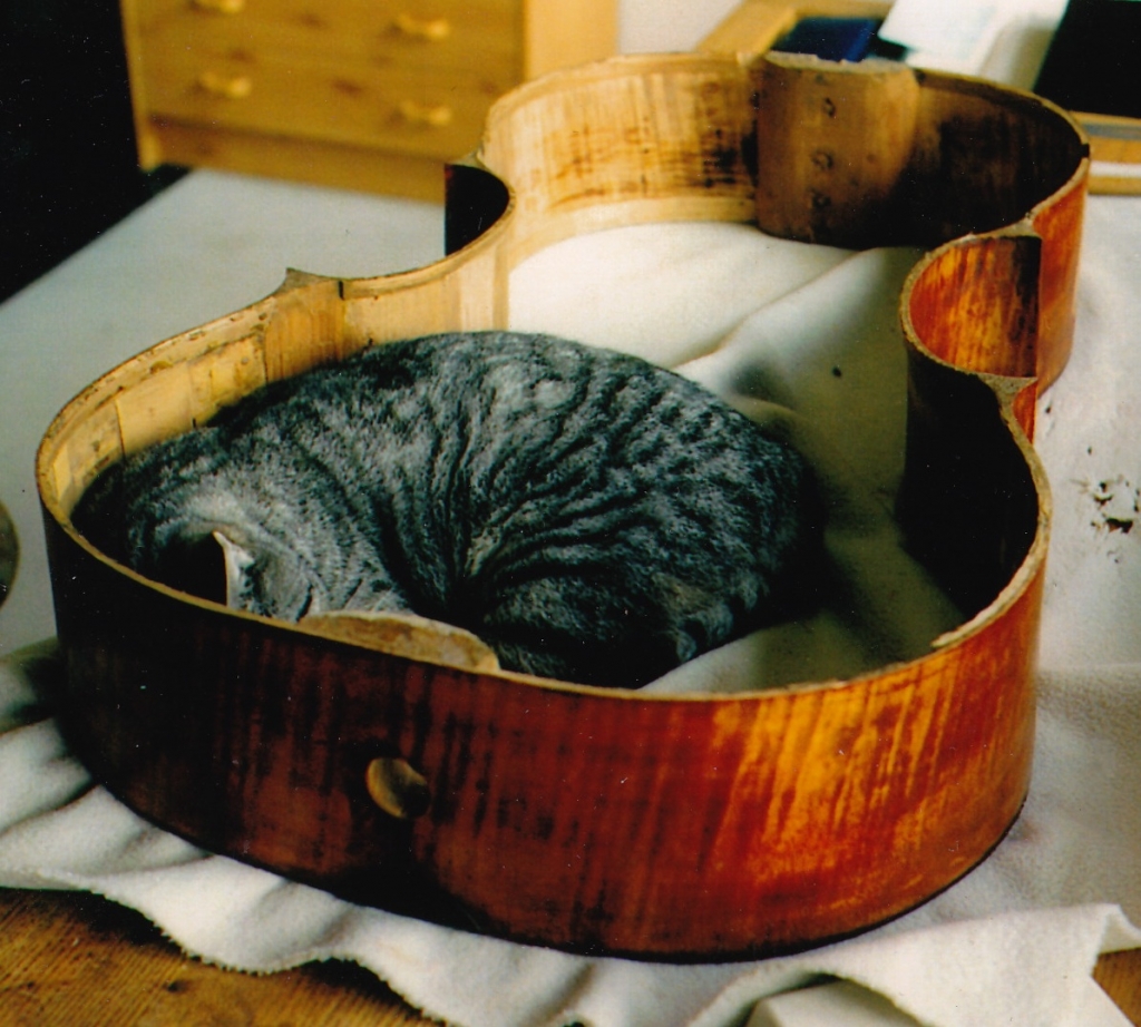 Music on Pinterest Cello, Violin and Instruments