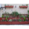 Flowers Planted and Maintained by AJC Services