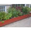 Flowers Planted and Maintained by AJC Services