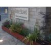 Flowers Planted and Maintained by AJC Services