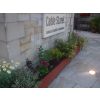 Flowers Planted and Maintained by AJC Services