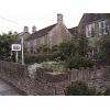 Cottage - Front Garden
