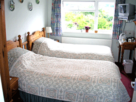 Twin Room Main View