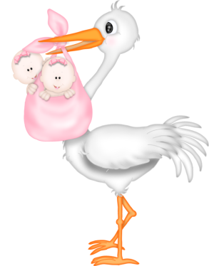stork 2 babes pink