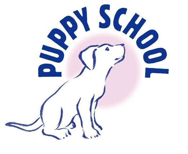  Puppy School
