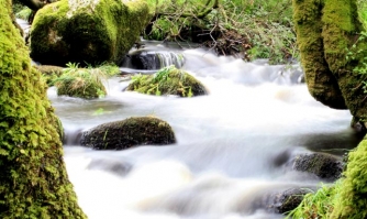  dartmoor
