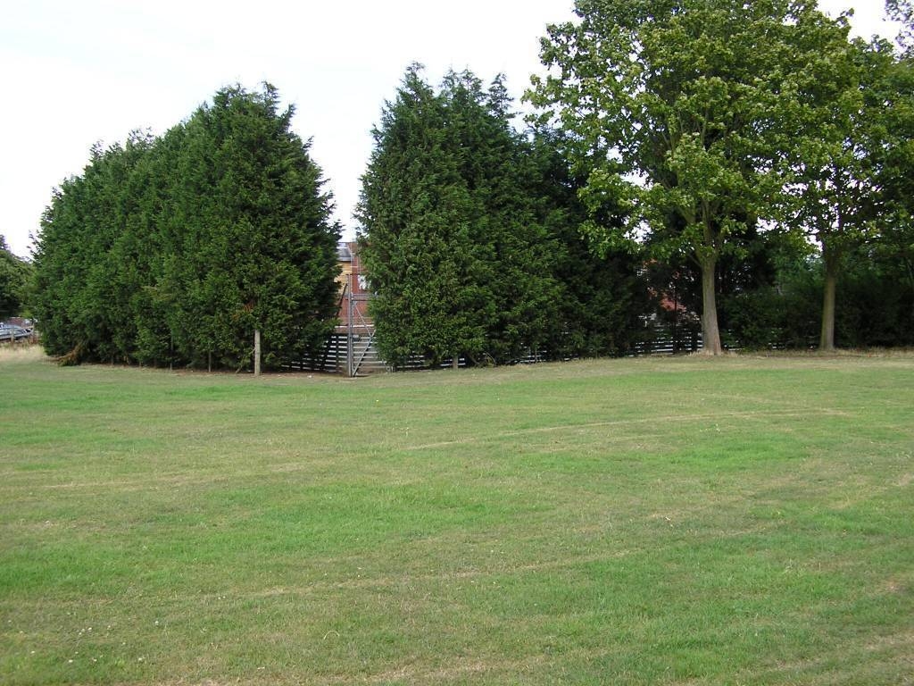 Site Clearance Work 1