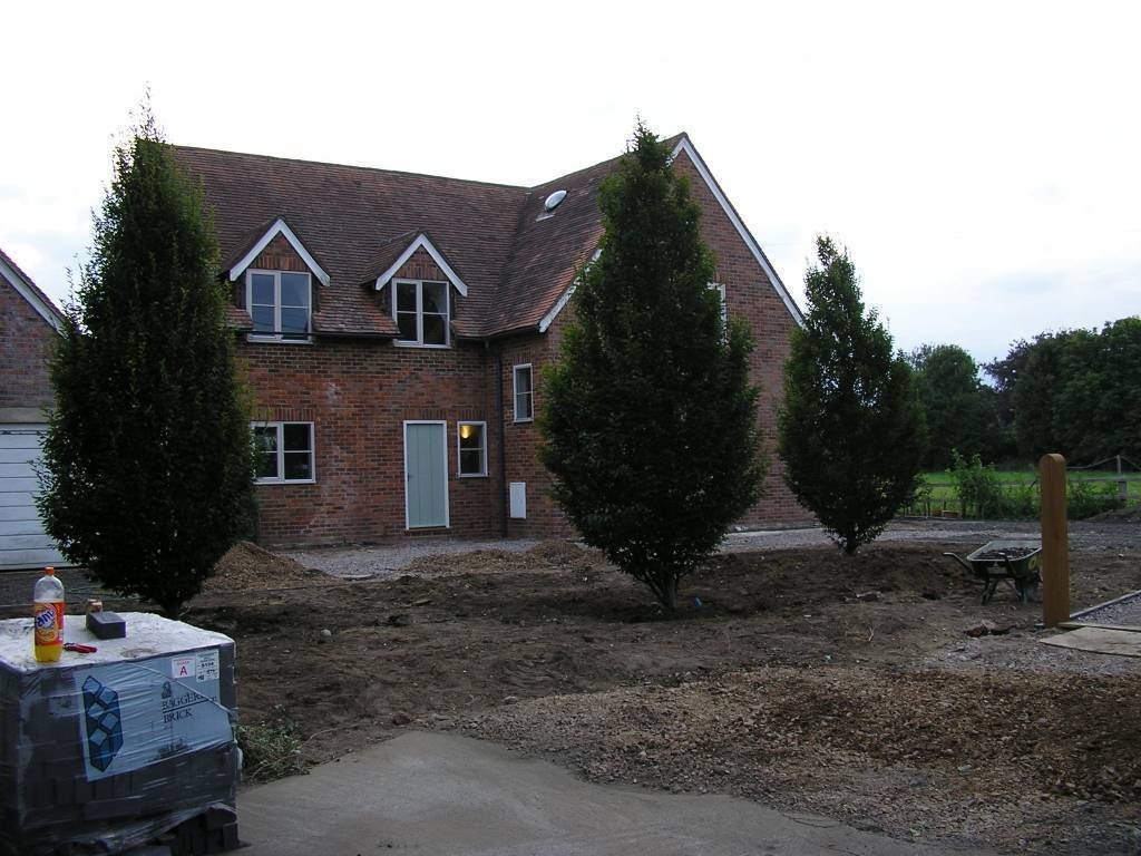 Trees - after planting
