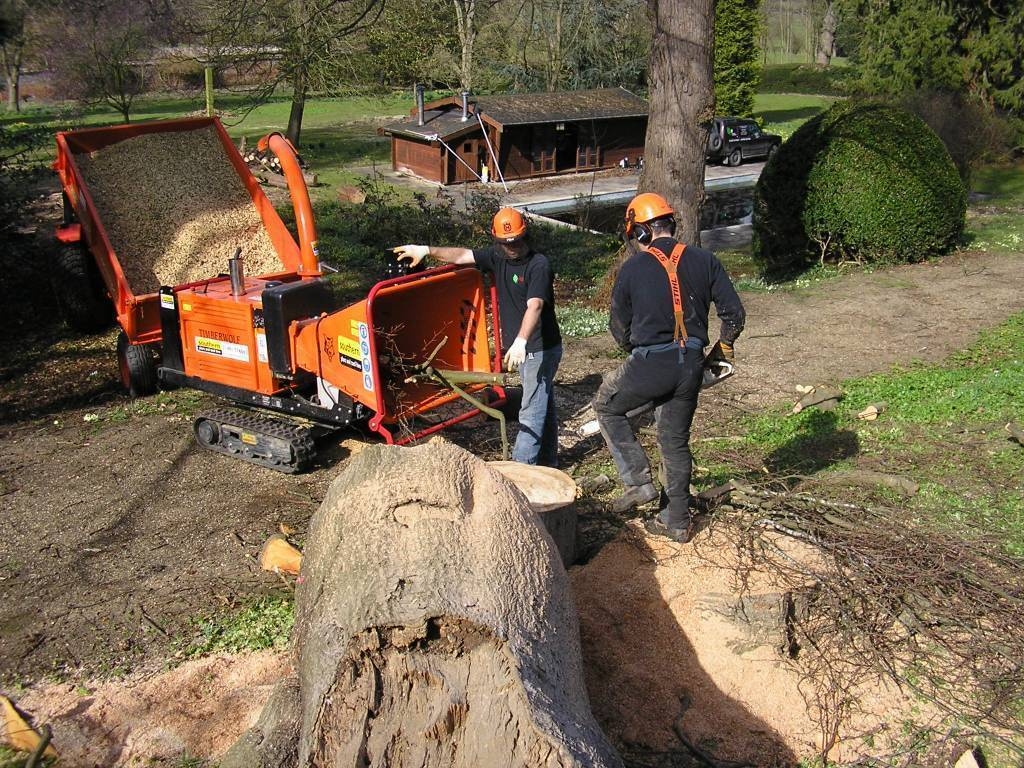 Tree Work 3