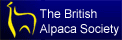 bas logo