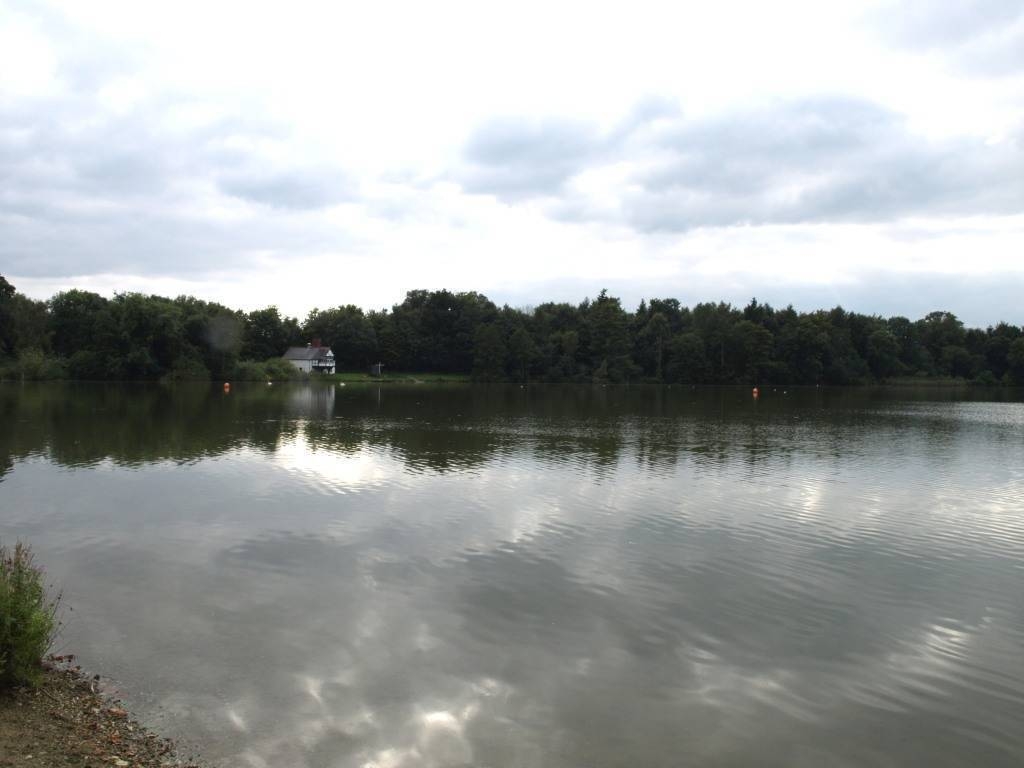  Colemere