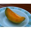 Melon Slice