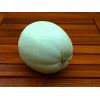 Ripe Melon