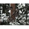 Long Tailed Tits