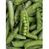 Early Pea Excellenz