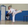 Dan Grading 2011
