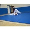 Dan Grading 2011