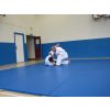 Dan Grading 2011