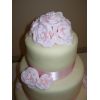 Pink Pastel Roses