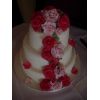 Cascading christmas roses front