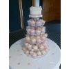 Butterflies and Blossom Cupcakes