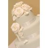 White Porcelein Roses