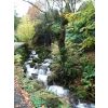 Autumn colours near Grasmere