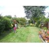 General garden design & maintenance