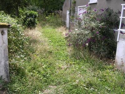  Garden Clearance