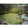Town House Garden