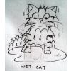 wet cat