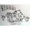 sleepy cat