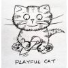 playful cat