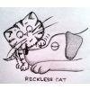 reckless cat