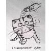 indignant cat