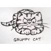 grumpy cat