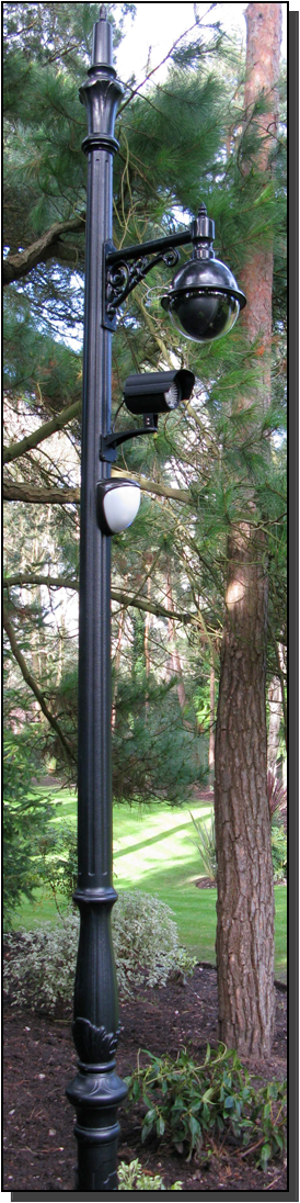 Decorative CCTV cameras