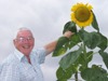 Alan and his unfeasibly tall sunflower