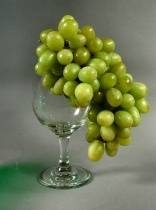 Grape Logo