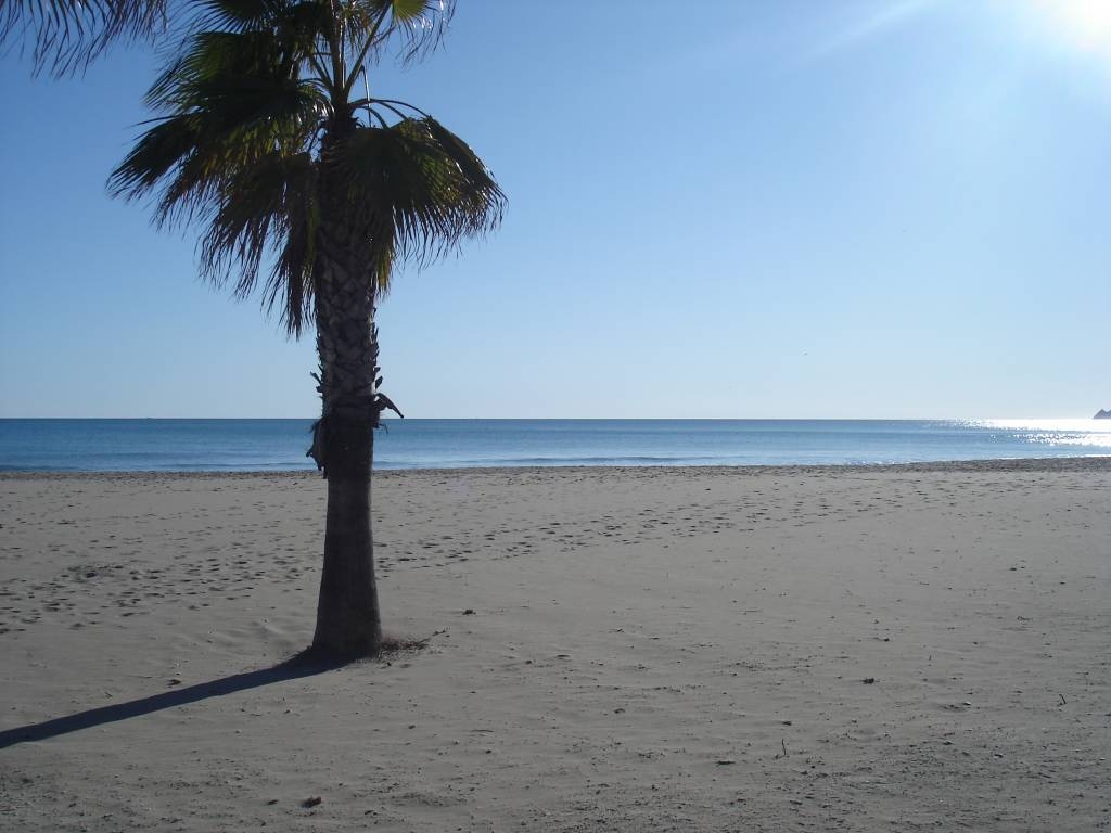 The Beach 100 Steps from your Apartment!