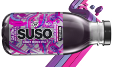 SUSO Summer Berries Still