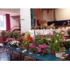 Pot plants section